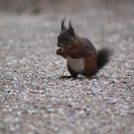 Hotel Landgasthof Sommerfeld
