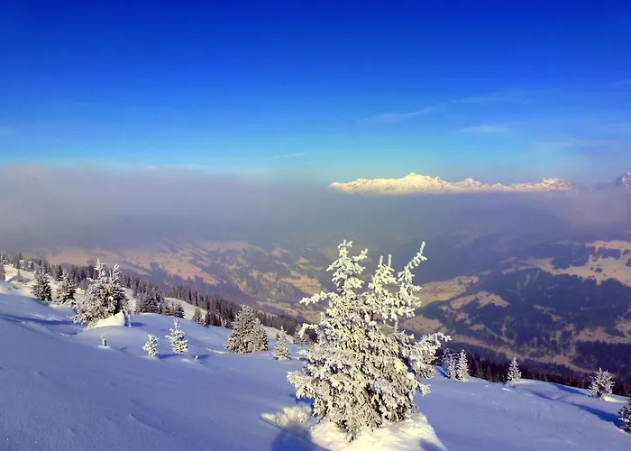 Landgasthof Sommerfeld 3* Pragg-Jenaz