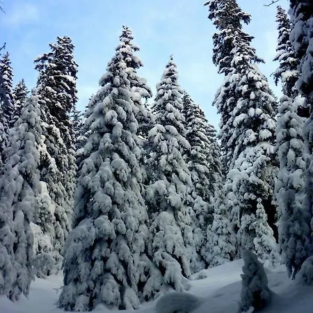 Landgasthof Sommerfeld فندق Pragg-Jenaz