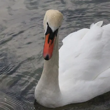 Landgasthof Sommerfeld فندق