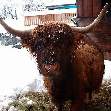 Landgasthof Sommerfeld فندق Pragg-Jenaz