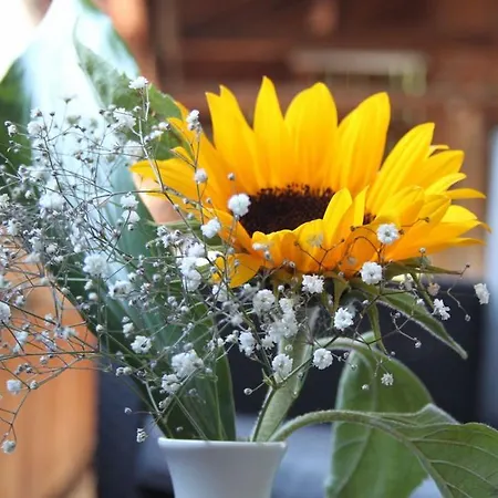 Landgasthof Sommerfeld 3*