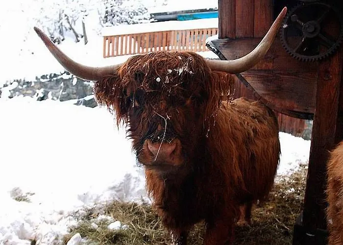 Landgasthof Sommerfeld Hotell Pragg-Jenaz