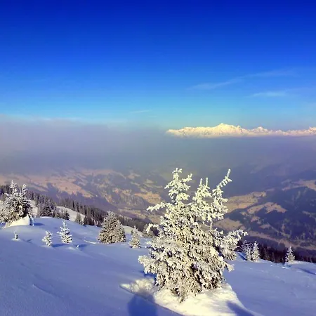 Landgasthof Sommerfeld 3* 프레그체네즈