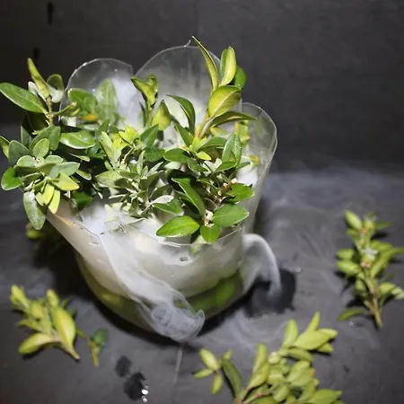 호텔 Landgasthof Sommerfeld