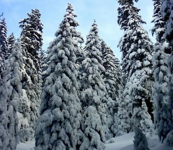 Landgasthof Sommerfeld Hotel Pragg-Jenaz