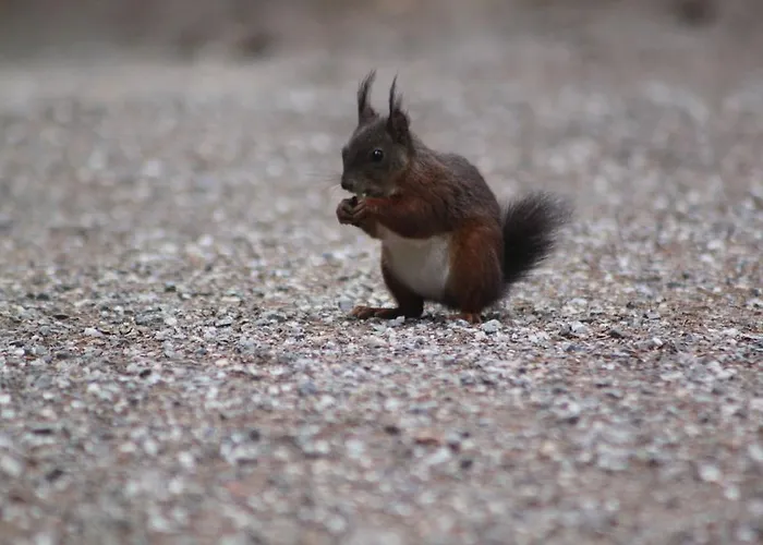 Hotel Landgasthof Sommerfeld