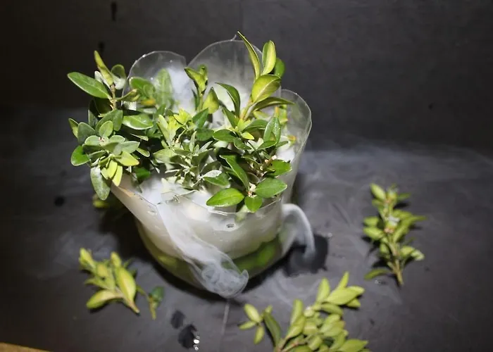 Hotel Landgasthof Sommerfeld