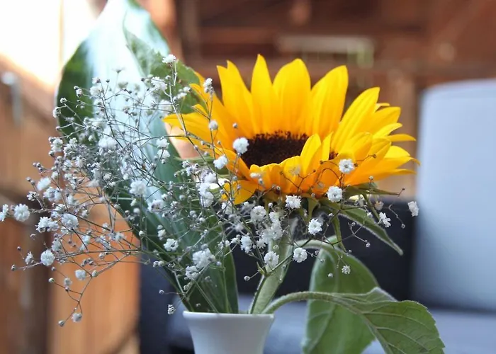 Landgasthof Sommerfeld 3*