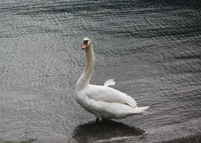 Hotel Landgasthof Sommerfeld